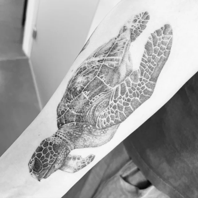 Quite detailed freehand sea turtle